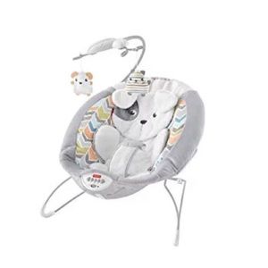 Fisher Price Snugapuppy Dreams Deluxe Bouncer white